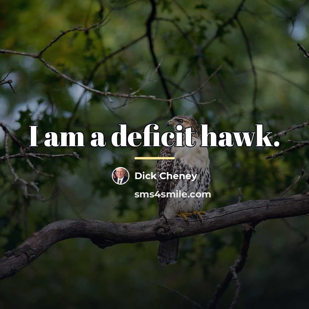“I am a deficit hawk.…” quote by Dick Cheney