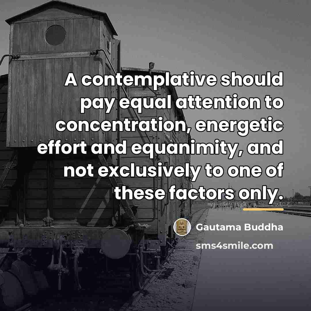 “A contemplative should pay equal attention to concentration, energetic effort…” quote by Gautama Buddha