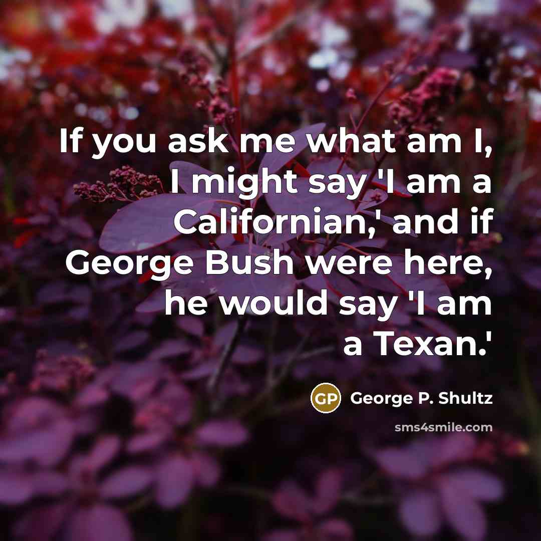 “If you ask me what am I, I might say…” quote by George P. Shultz