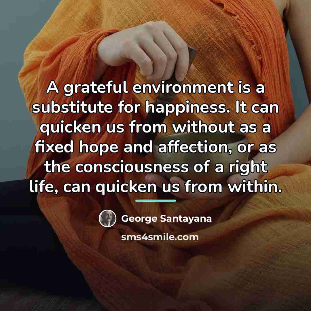 “A grateful environment is a substitute for happiness. It can…” quote by George Santayana