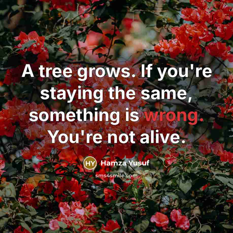 “A tree grows. If you're staying the same, something is…” quote by Hamza Yusuf