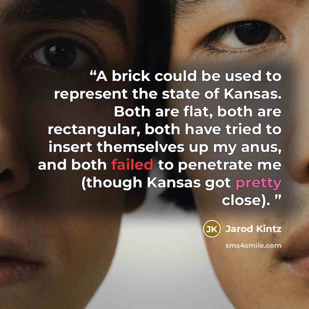“A brick could be used to represent the state of Kansas. Both are flat, both are rectangular, both have tried to insert themselves up my anus, and both failed to penetrate me (though Kansas got pretty close).” quote by Jarod Kintz