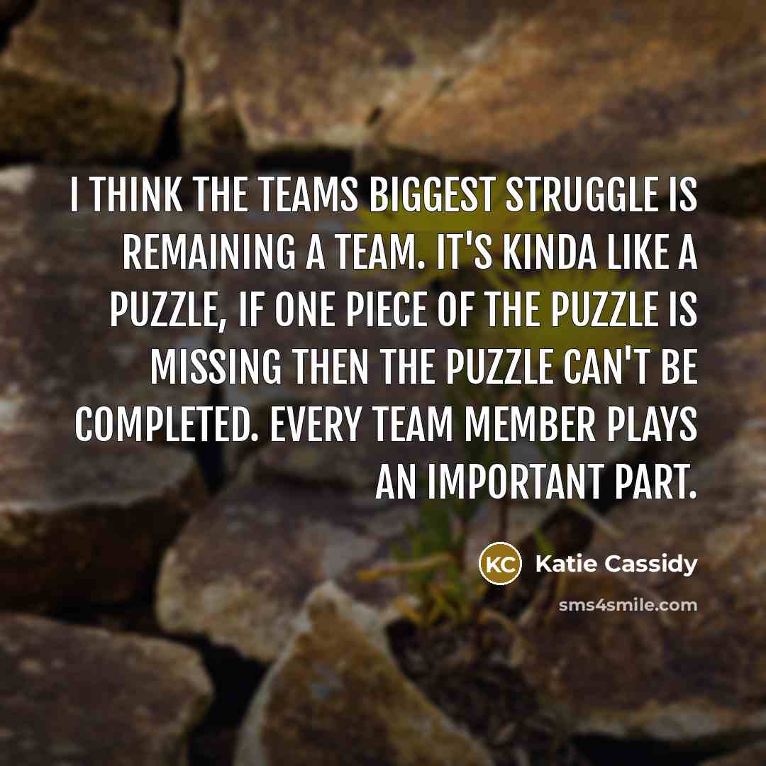 “I think the teams biggest struggle is remaining a team.…” quote by Katie Cassidy