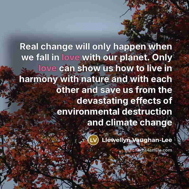 “Real change will only happen when we fall in love…” quote by Llewellyn Vaughan-Lee