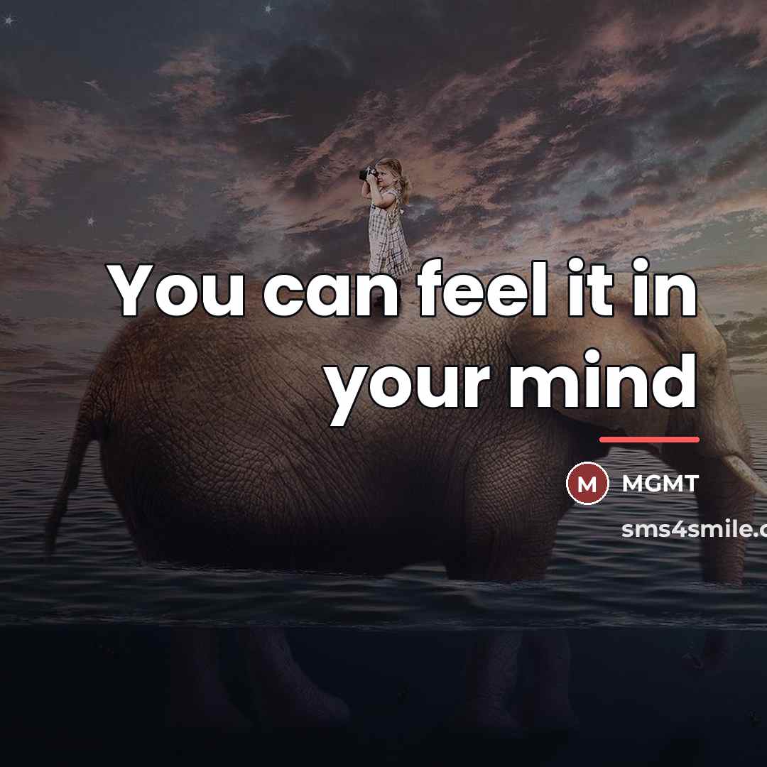 “You can feel it in your mind…” quote by MGMT