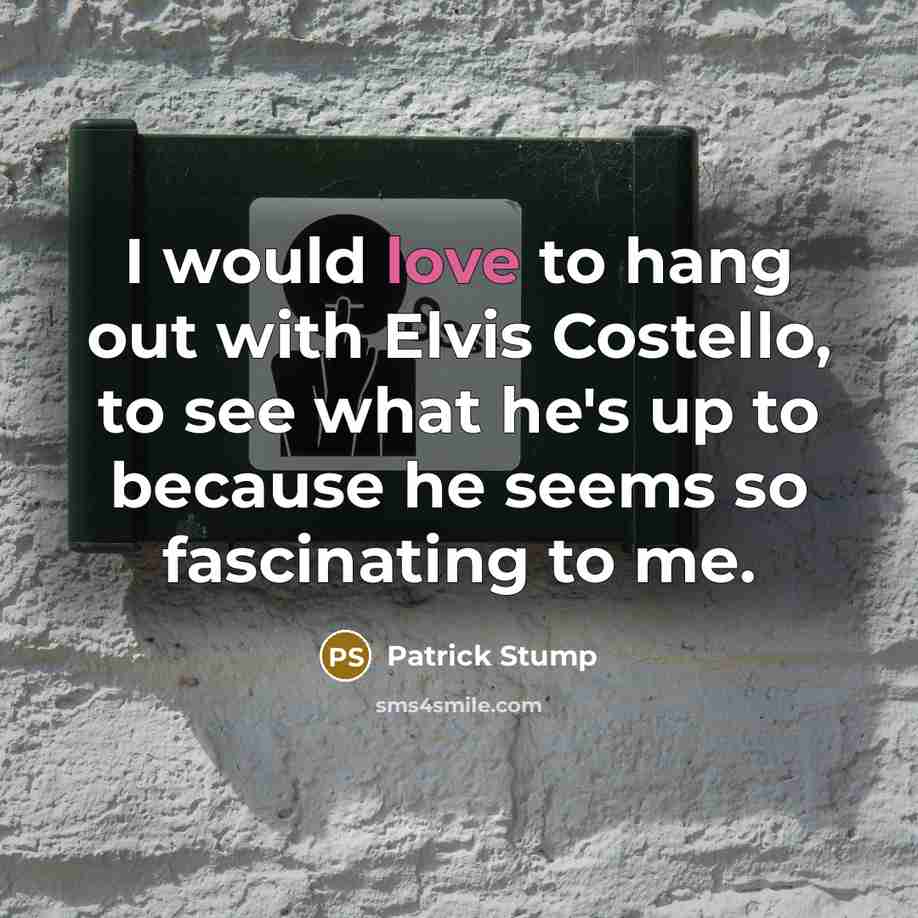 “I would love to hang out with Elvis Costello, to…” quote by Patrick Stump