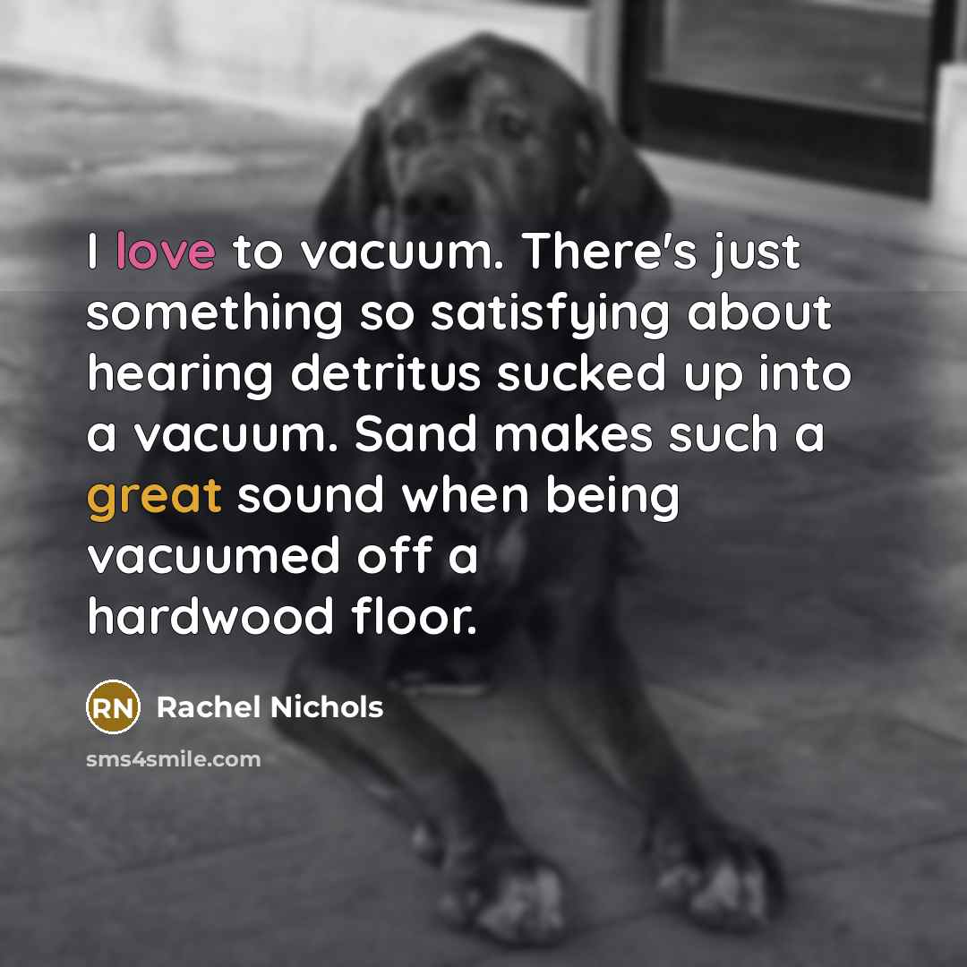 “I love to vacuum. There's just something so satisfying about…” quote by Rachel Nichols