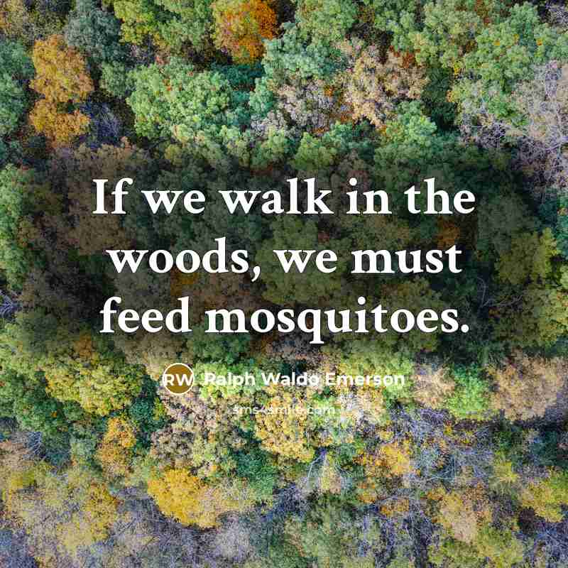 “If we walk in the woods, we must feed mosquitoes.…” quote by Ralph Waldo Emerson