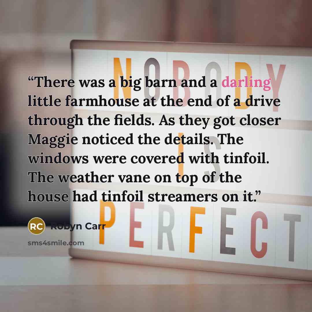 “There was a big barn and a darling little farmhouse at the end of a drive through the fields. As they got closer Maggie noticed the details. The windows were covered with tinfoil. The weather vane on top of the house had tinfoil streamers on it.” quote by Robyn Carr