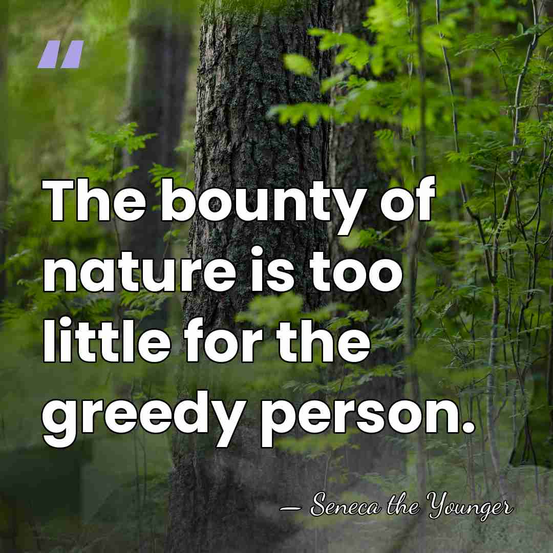 The bounty of nature is too little for the greedy person. - Seneca the Younger