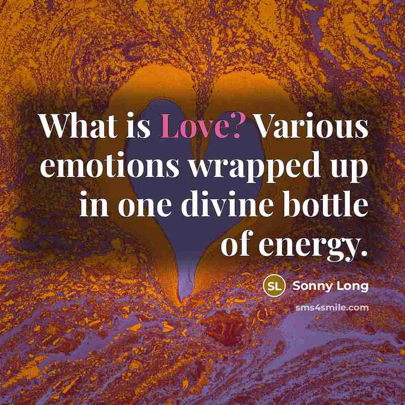 “What is Love? Various emotions wrapped up in one divine…” quote by Sonny Long