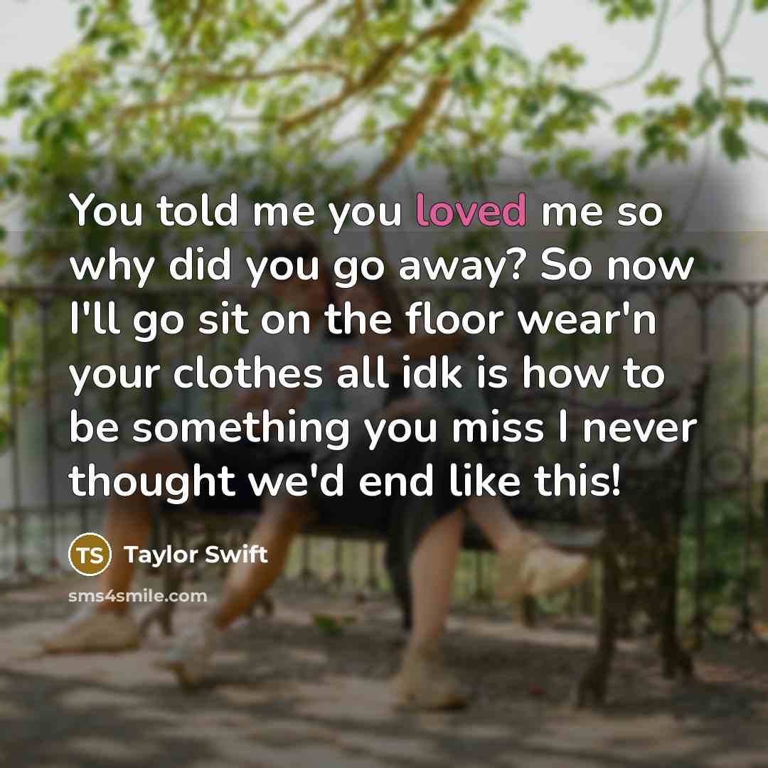 “You told me you loved me so why did you…” quote by Taylor Swift