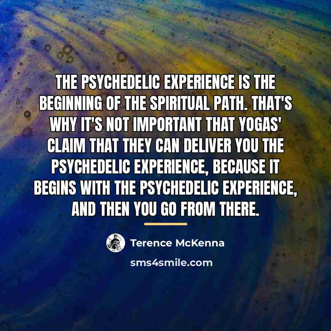 “The psychedelic experience is the beginning of the spiritual path.…” quote by Terence McKenna