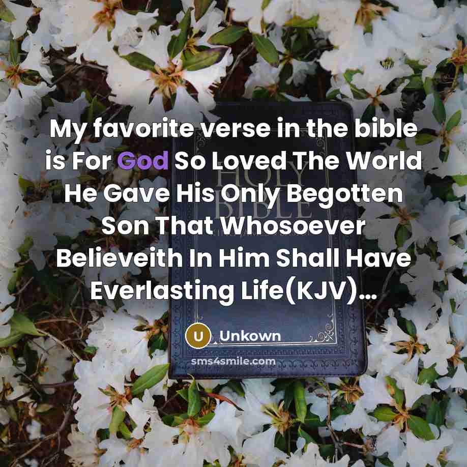 “My favorite verse in the bible is For God So…” quote by Unkown