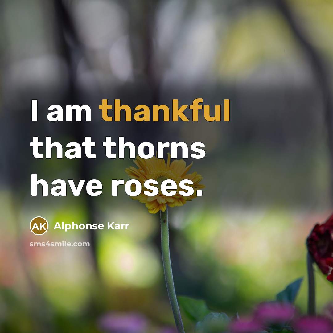 “I am thankful that thorns have roses.…” quote by Alphonse Karr