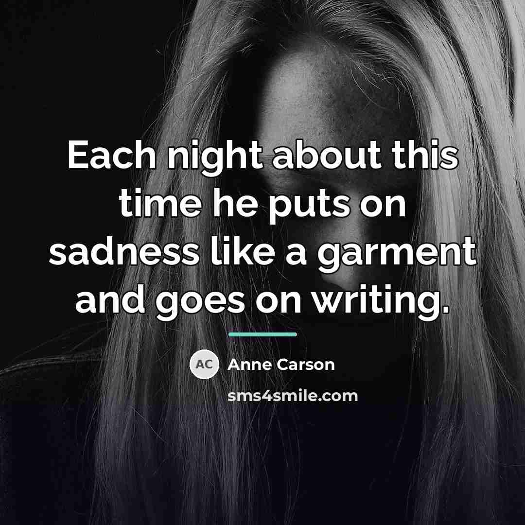“Each night about this time he puts on sadness like…” quote by Anne Carson