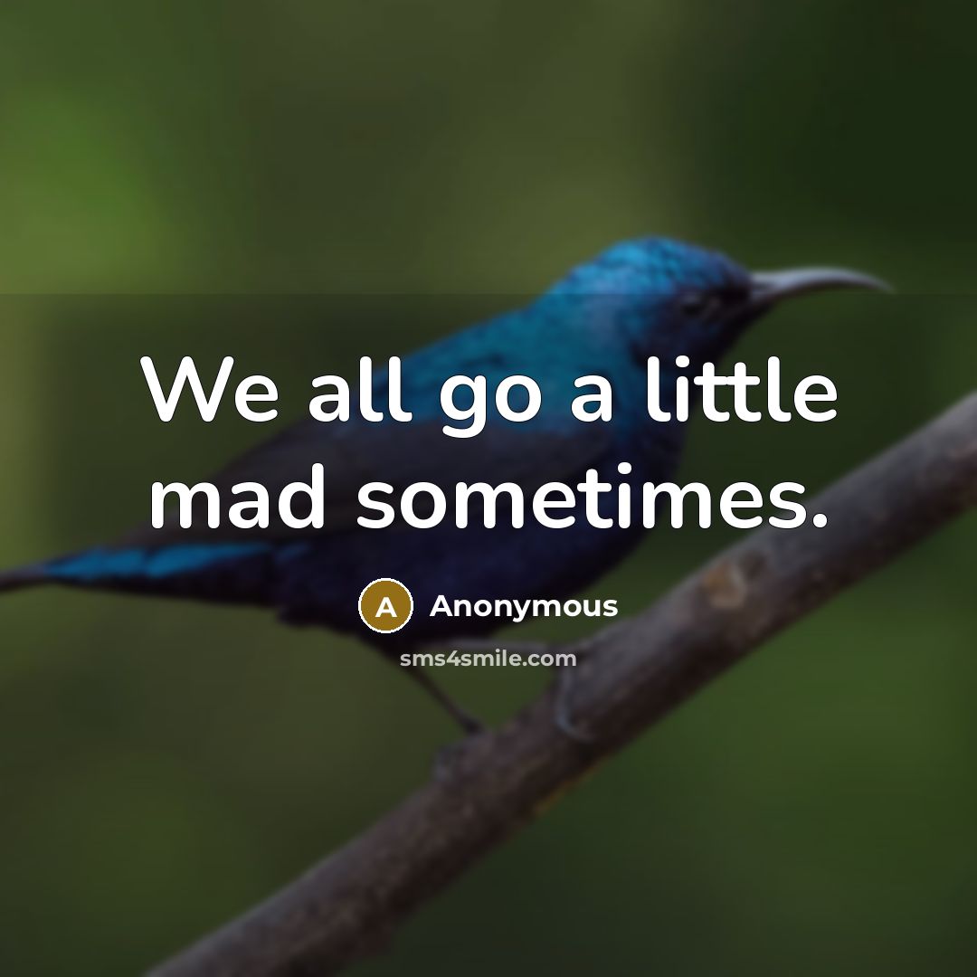 “We all go a little mad sometimes.…” quote by Anonymous