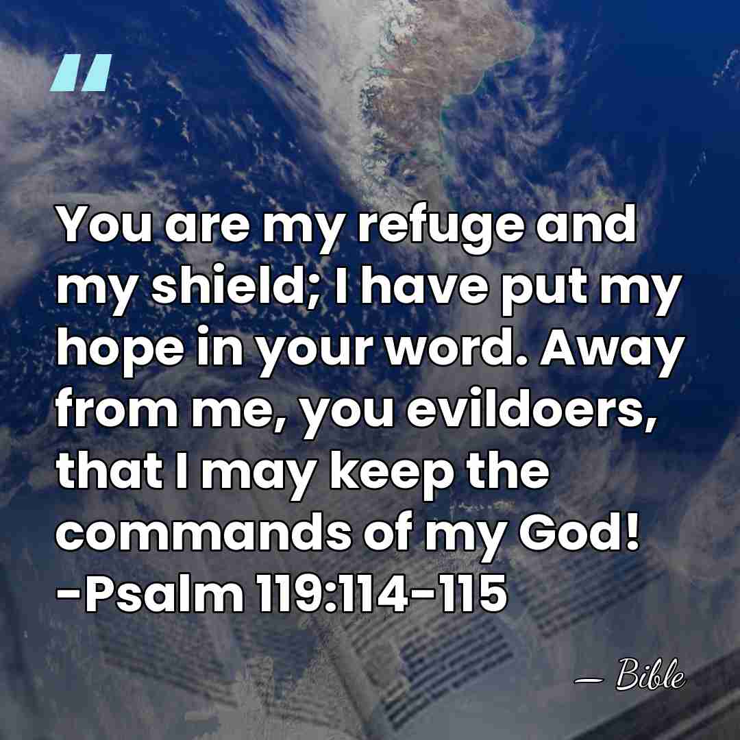 You are my refuge and my shield; I have put my hope&hellip; - Bible