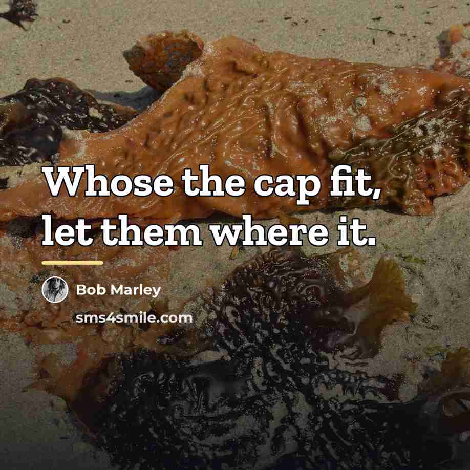 “Whose the cap fit, let them where it.…” quote by Bob Marley