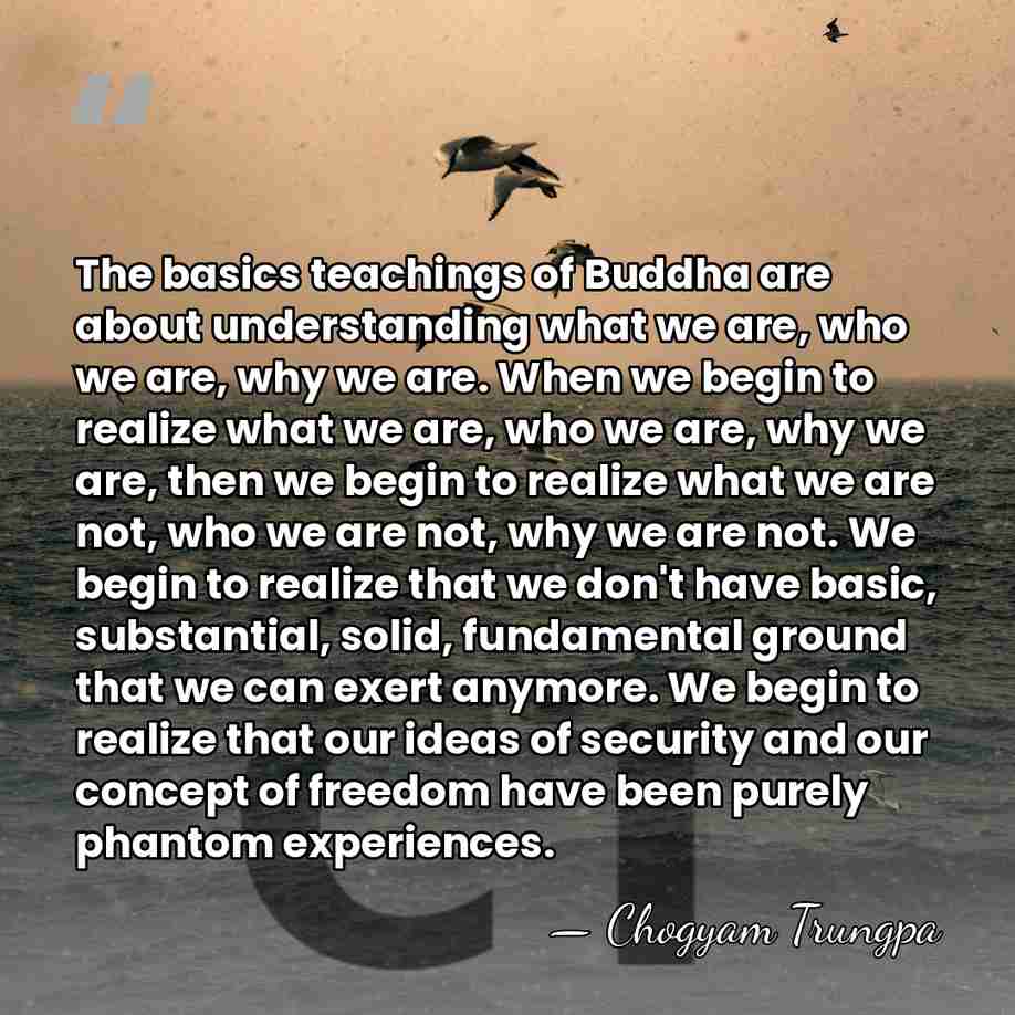 The basics teachings of Buddha are about understanding what we are, who&hellip; - Chogyam Trungpa