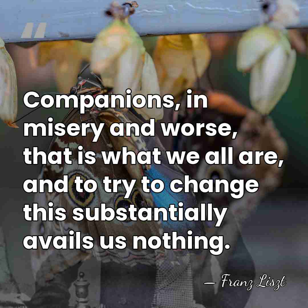 Companions, in misery and worse, that is what we all are, and&hellip; - Franz Liszt
