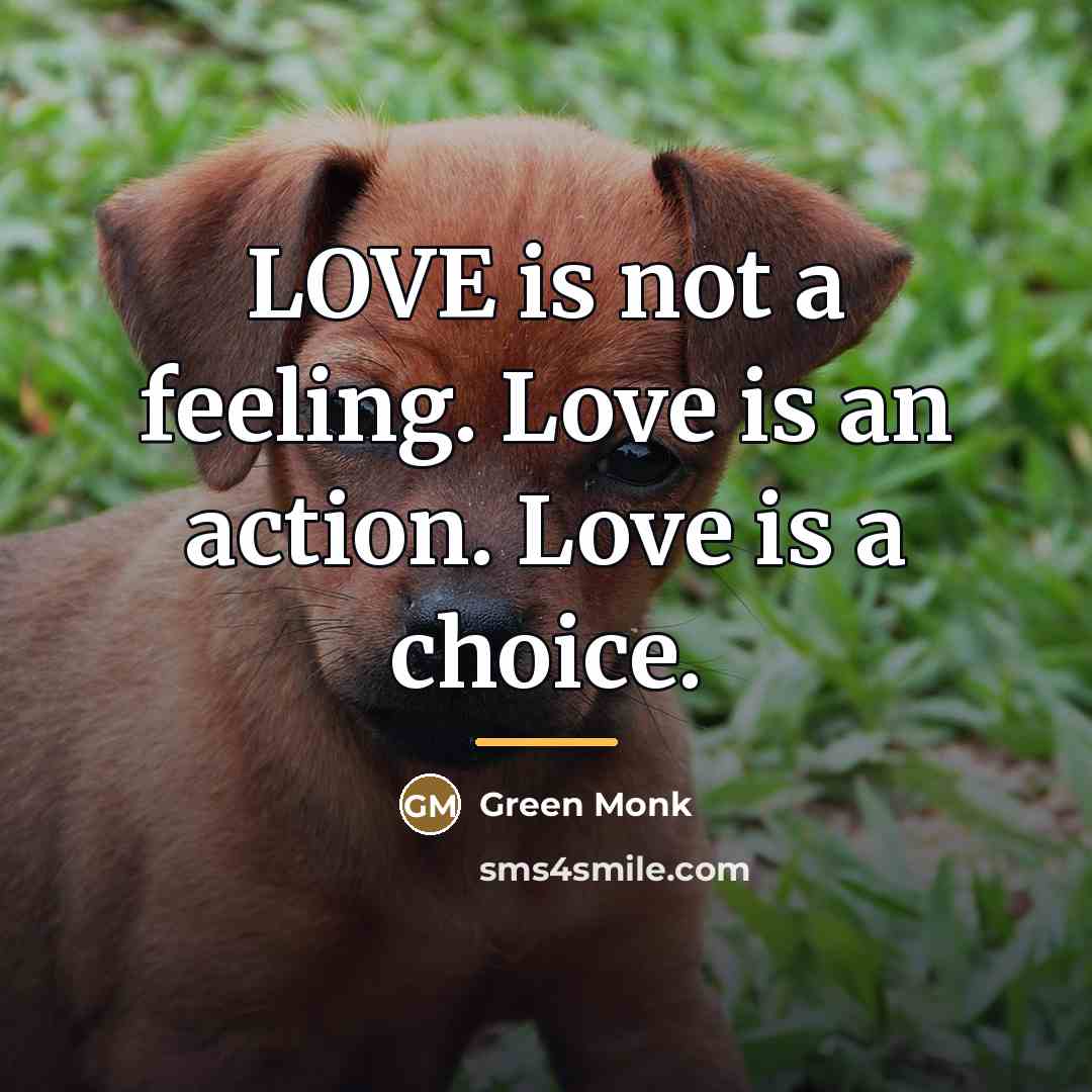 “LOVE is not a feeling. Love is an action. Love…” quote by Green Monk