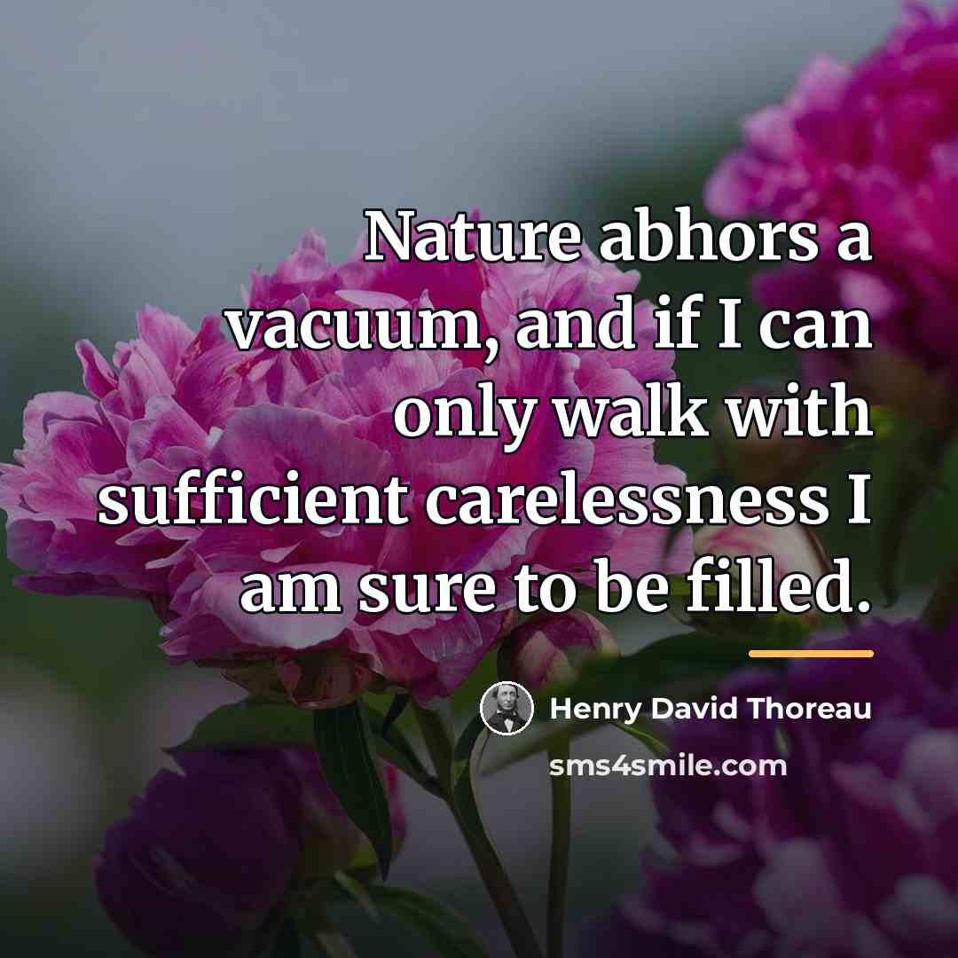 “Nature abhors a vacuum, and if I can only walk…” quote by Henry David Thoreau