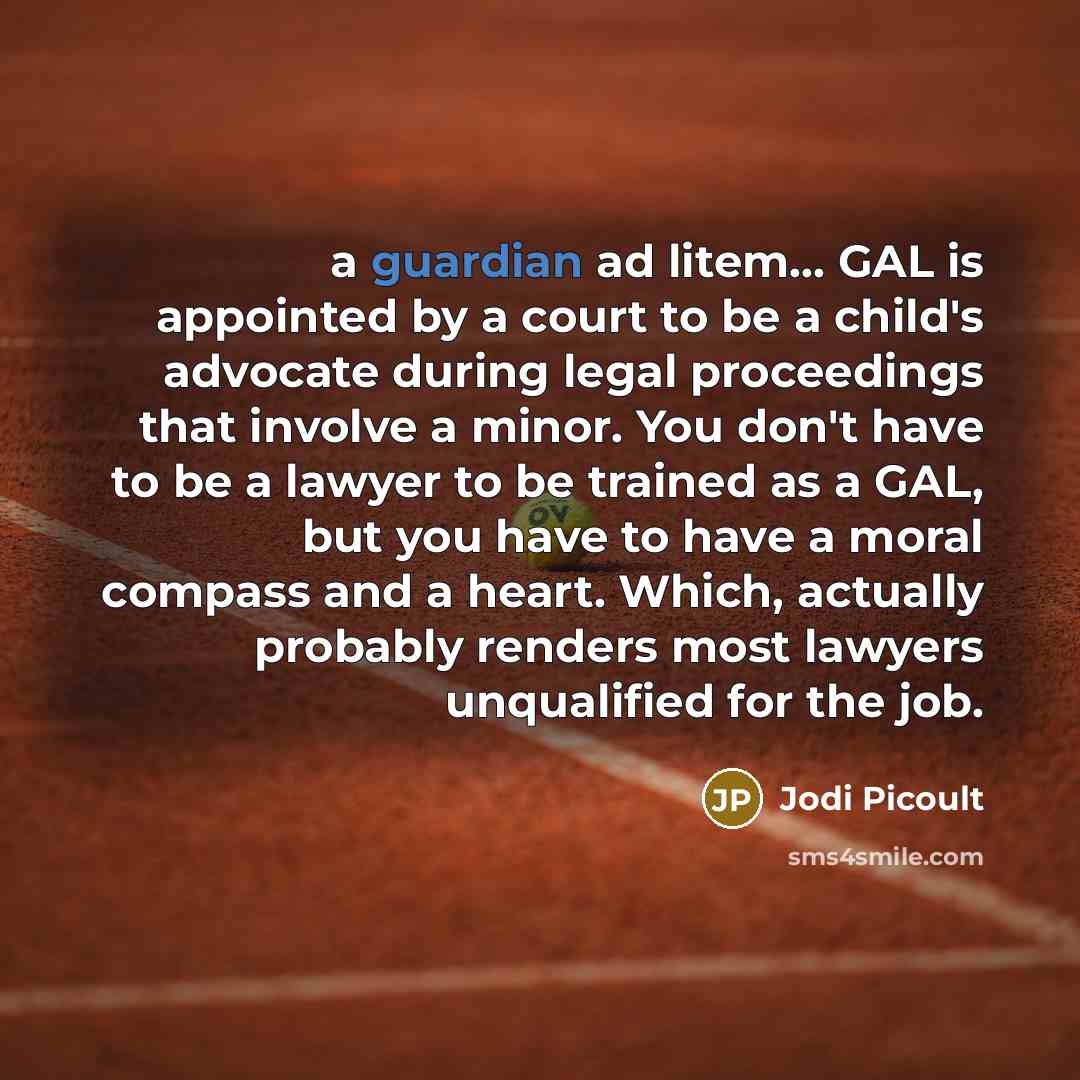 “a guardian ad litem... GAL is appointed by a court…” quote by Jodi Picoult