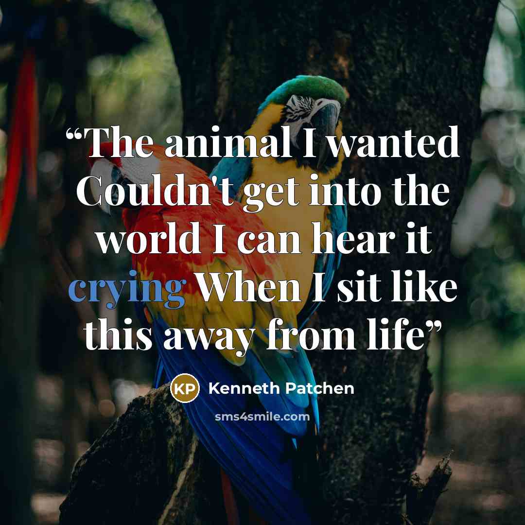 “The animal I wanted Couldn't get into the world I can hear it crying When I sit like this away from life” quote by Kenneth Patchen
