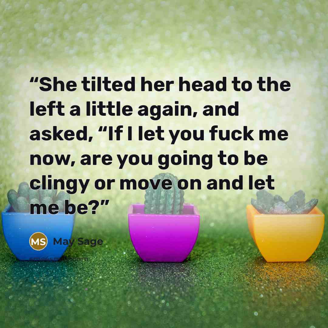 “She tilted her head to the left a little again, and asked, “If I let you fuck me now, are you going to be clingy or move on and let me be?” quote by May Sage