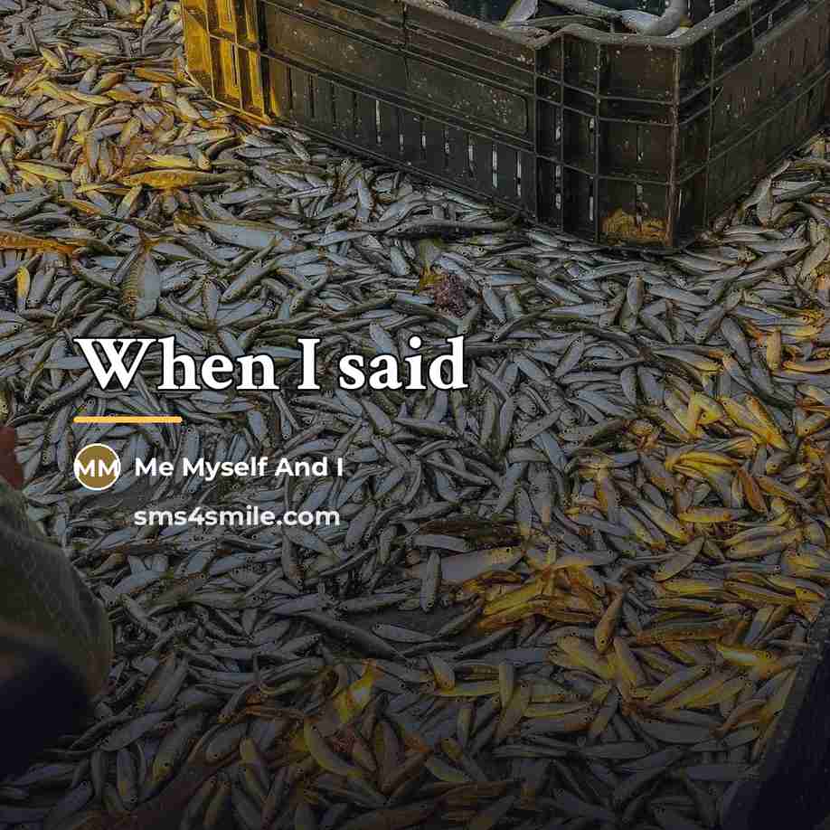 “When I said…” quote by Me Myself And I
