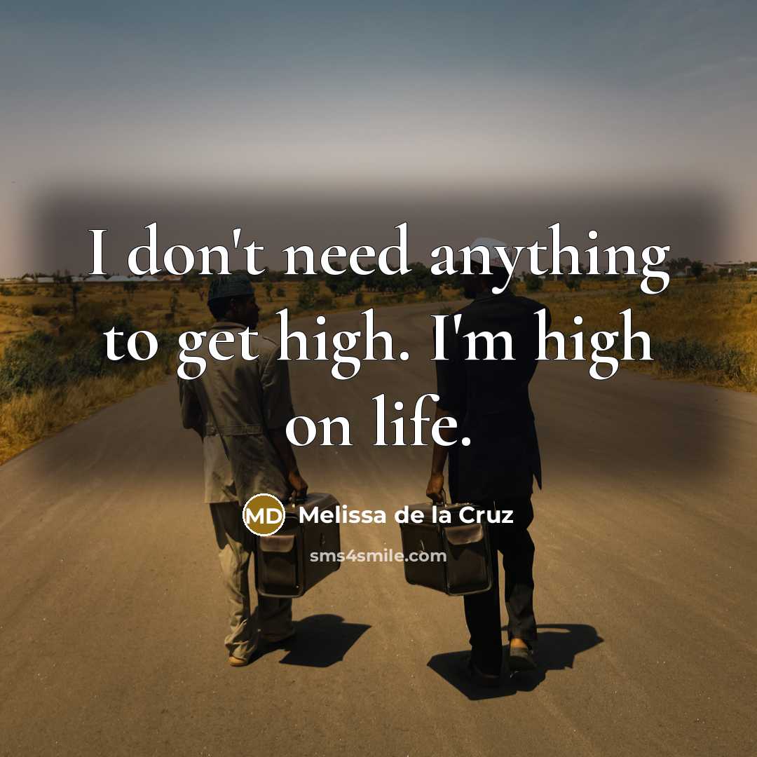 “I don't need anything to get high. I'm high on…” quote by Melissa de la Cruz
