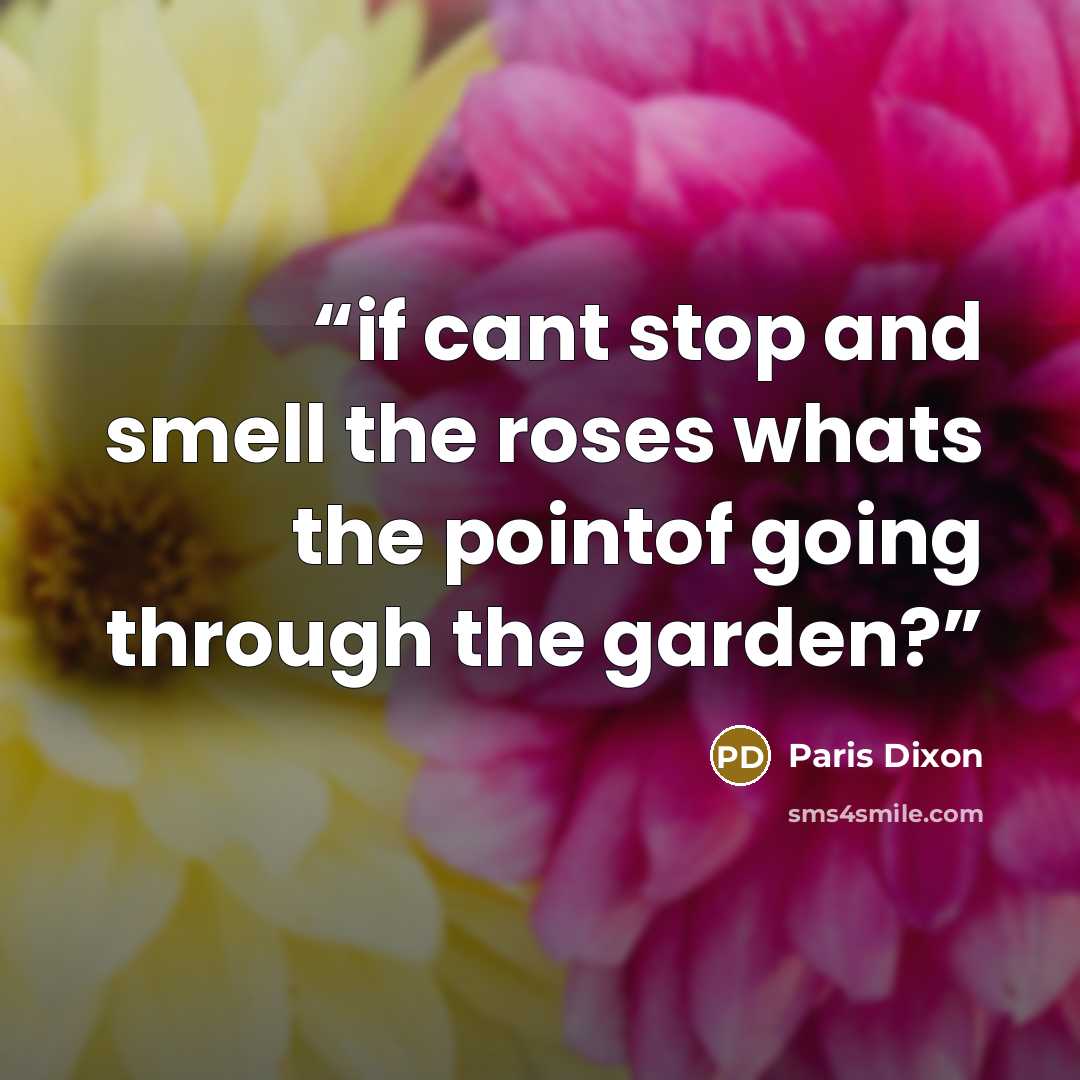 “if cant stop and smell the roses whats the pointof going through the garden?” quote by Paris Dixon