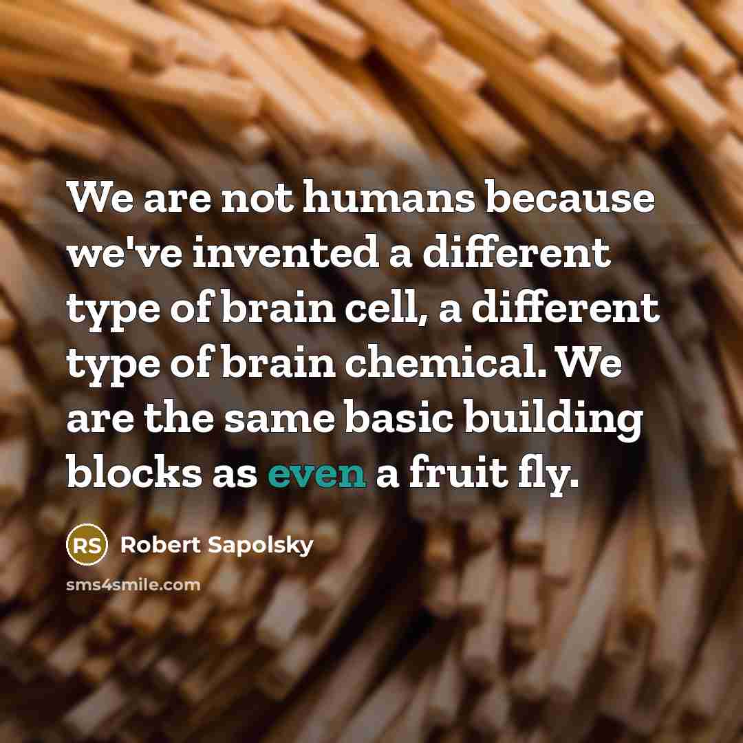 “We are not humans because we've invented a different type…” quote by Robert Sapolsky