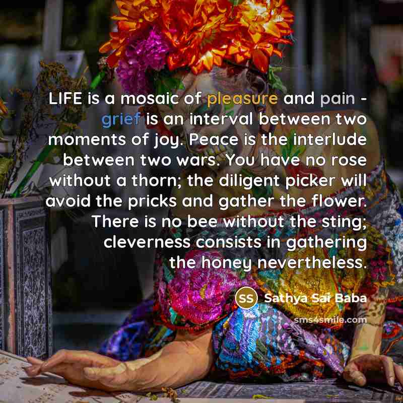 “LIFE is a mosaic of pleasure and pain - grief…” quote by Sathya Sai Baba