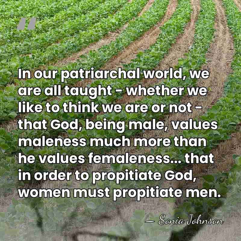 In our patriarchal world, we are all taught - whether we like&hellip; - Sonia Johnson