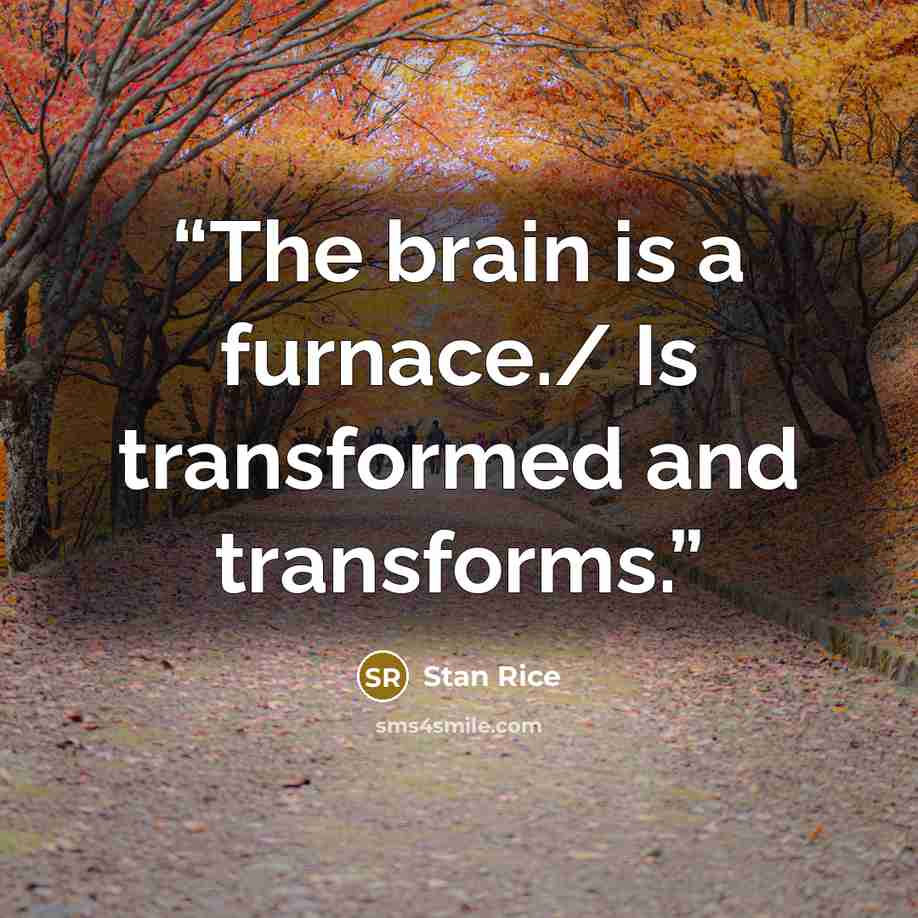 “The brain is a furnace./ Is transformed and transforms.” quote by Stan Rice