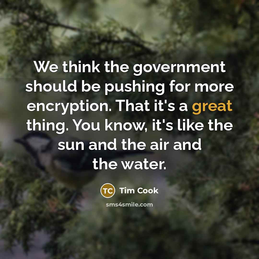 “We think the government should be pushing for more encryption.…” quote by Tim Cook