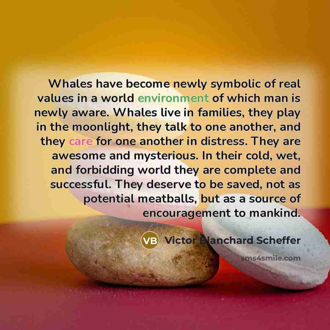 “Whales have become newly symbolic of real values in a…” quote by Victor Blanchard Scheffer