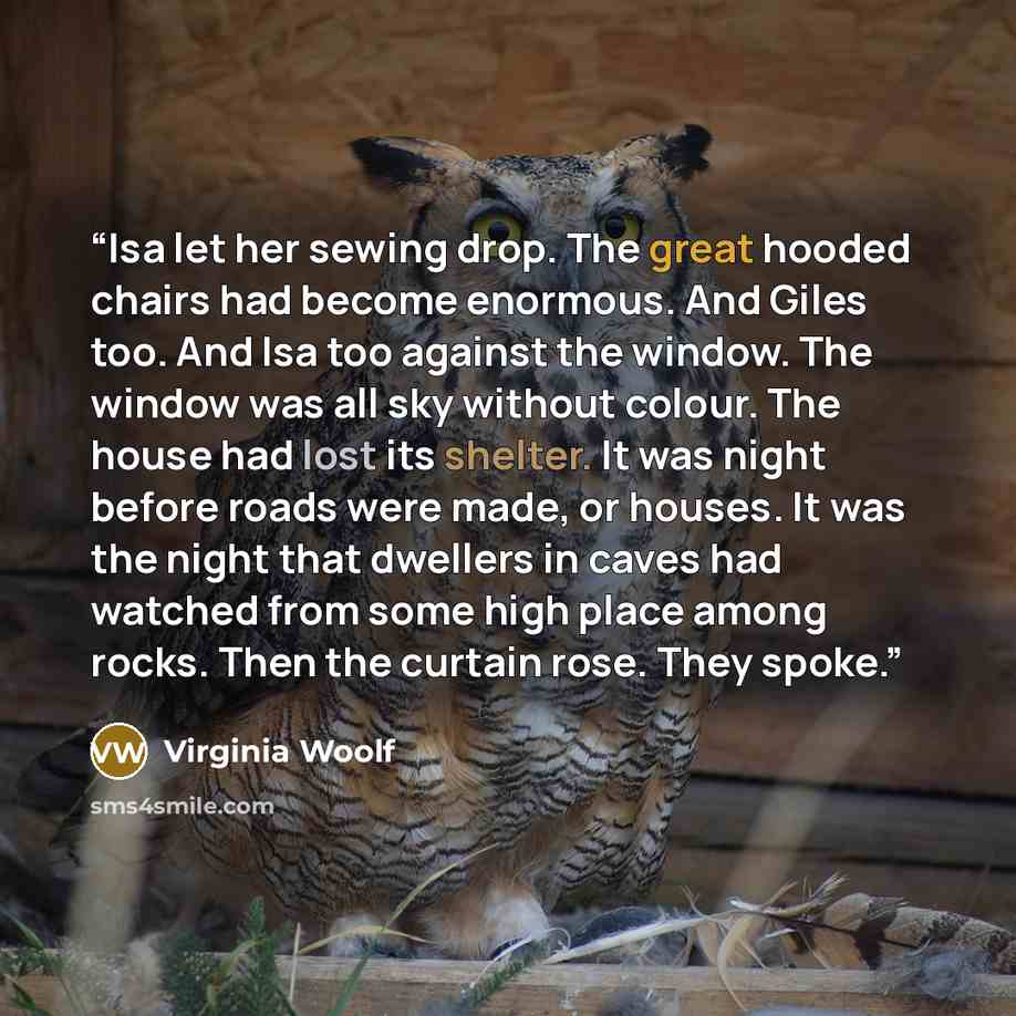 “Isa let her sewing drop. The great hooded chairs had become enormous. And Giles too. And Isa too against the window. The window was all sky without colour. The house had lost its shelter. It was night before roads were made, or houses. It was the night that dwellers in caves had watched from some…” quote by Virginia Woolf