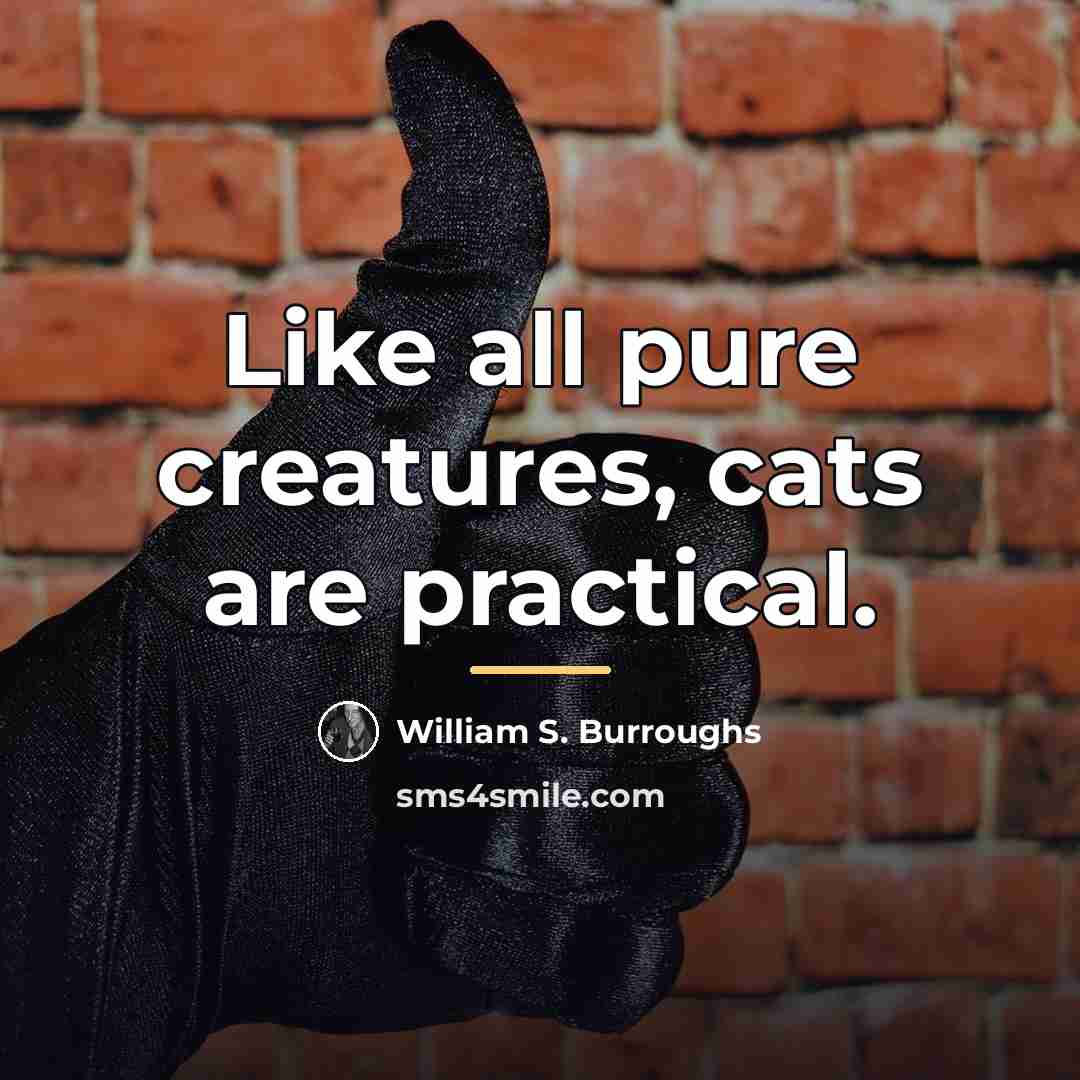 “Like all pure creatures, cats are practical.…” quote by William S. Burroughs