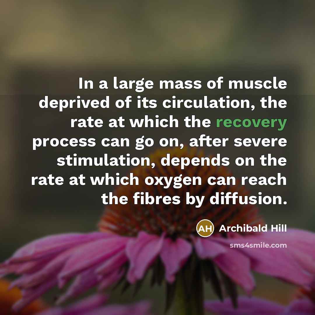“In a large mass of muscle deprived of its circulation,…” quote by Archibald Hill