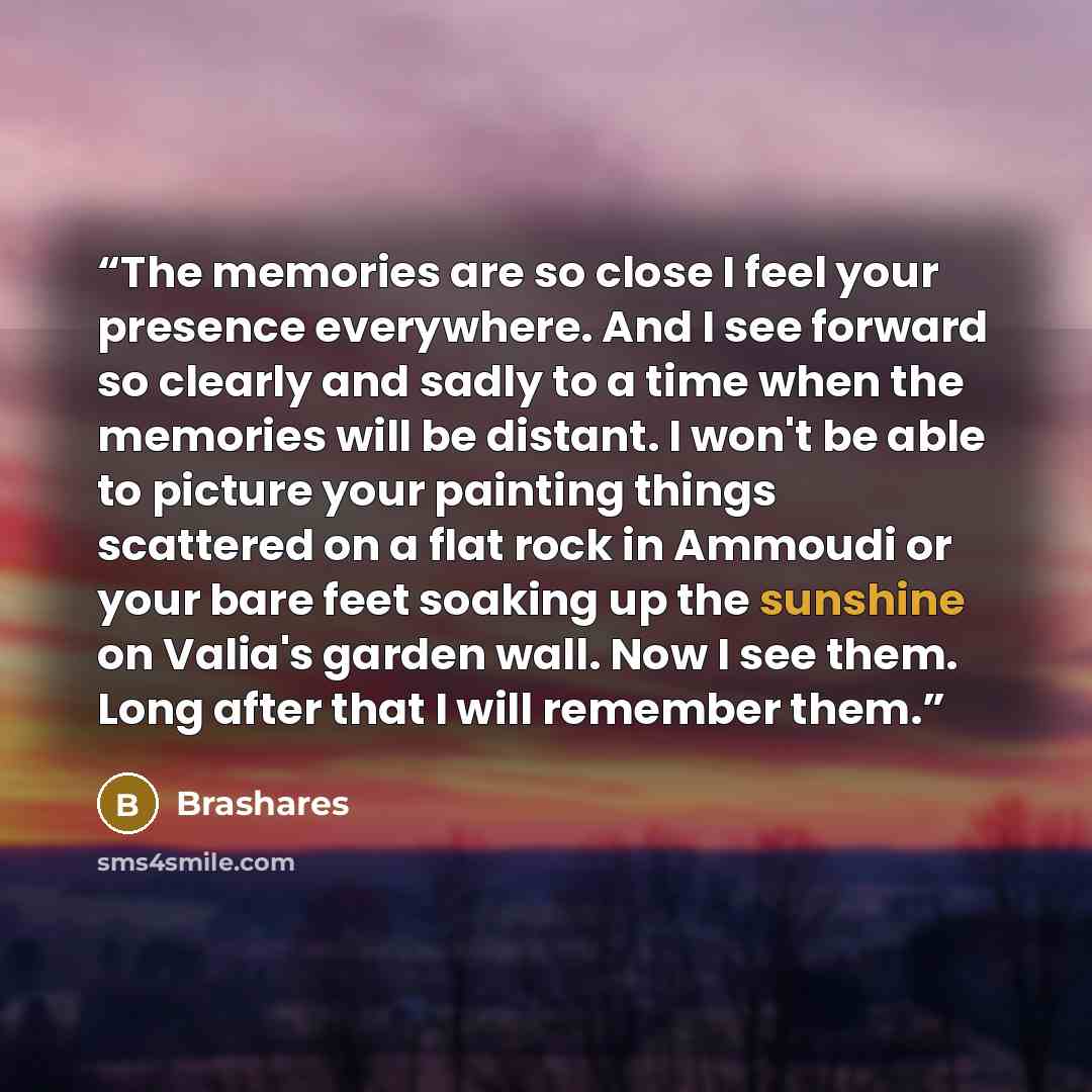 “The memories are so close I feel your presence everywhere. And I see forward so clearly and sadly to a time when the memories will be distant. I won't be able to picture your painting things scattered on a flat rock in Ammoudi or your bare feet soaking up the sunshine on Valia's garden wall. Now I…” quote by Brashares