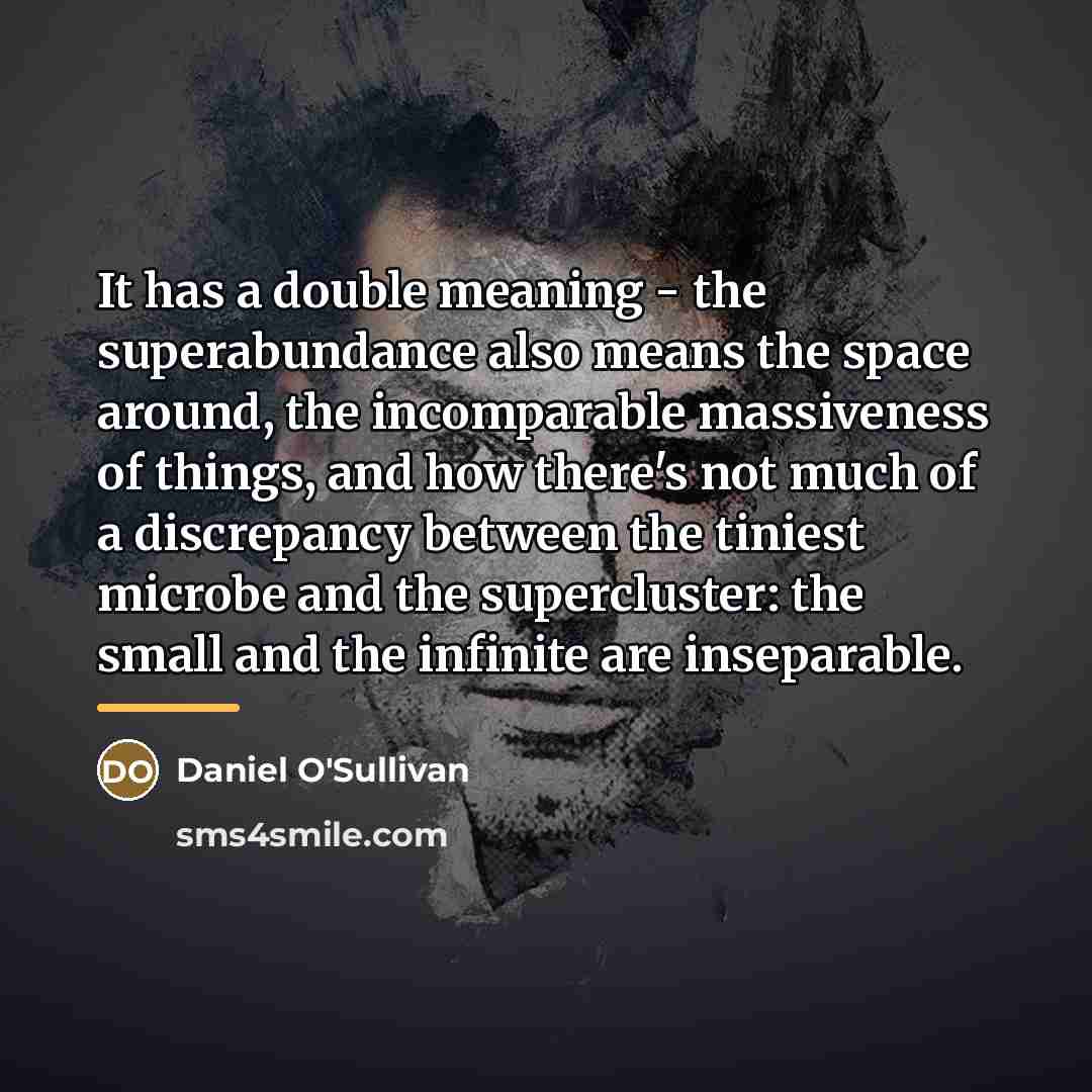 “It has a double meaning - the superabundance also means…” quote by Daniel O'Sullivan