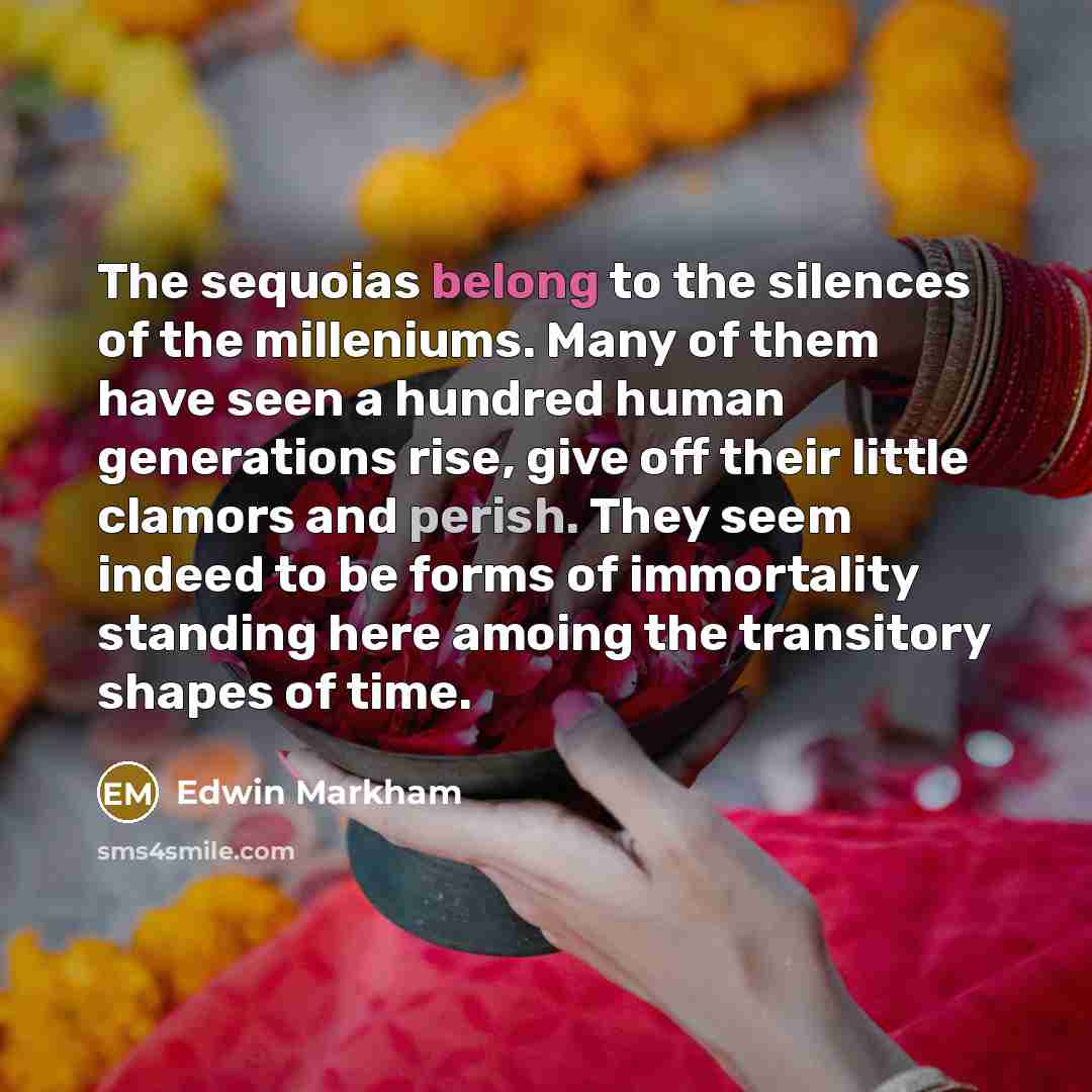 “The sequoias belong to the silences of the milleniums. Many…” quote by Edwin Markham