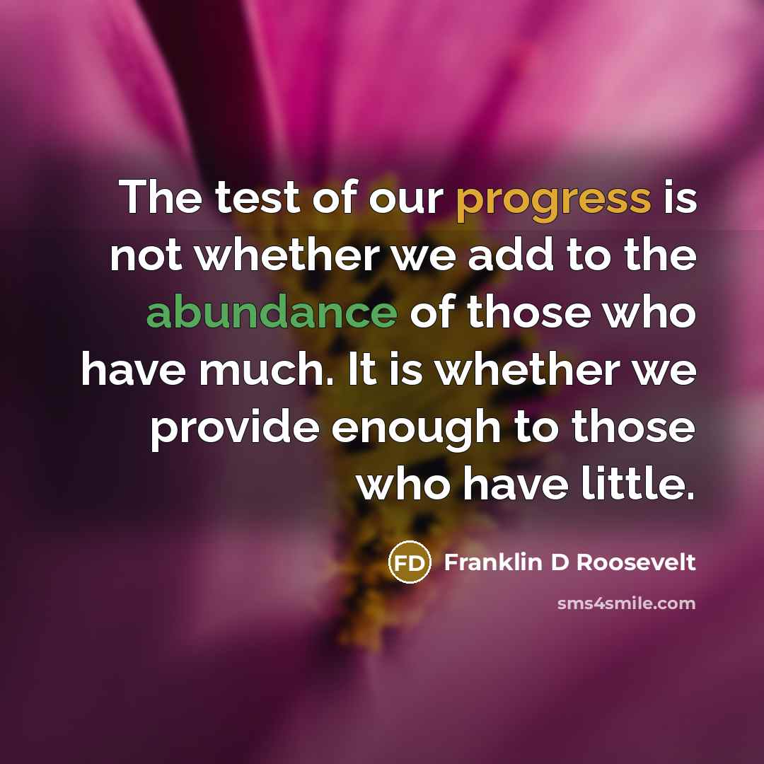 “The test of our progress is not whether we add…” quote by Franklin D Roosevelt
