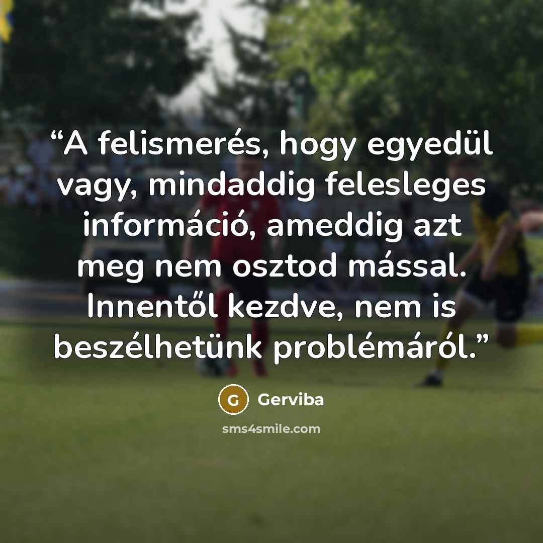 “A felismerés, hogy egyedül vagy, mindaddig felesleges információ, ameddig azt meg nem osztod mással. Innentől kezdve, nem is beszélhetünk problémáról.” quote by Gerviba