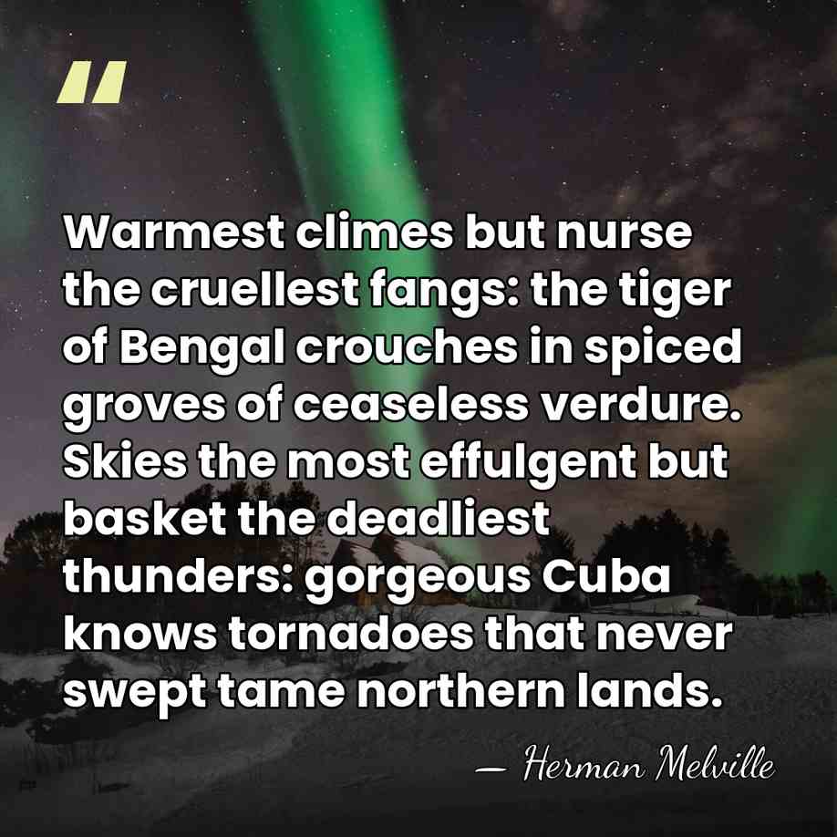 Warmest climes but nurse the cruellest fangs: the tiger of Bengal crouches&hellip; - Herman Melville