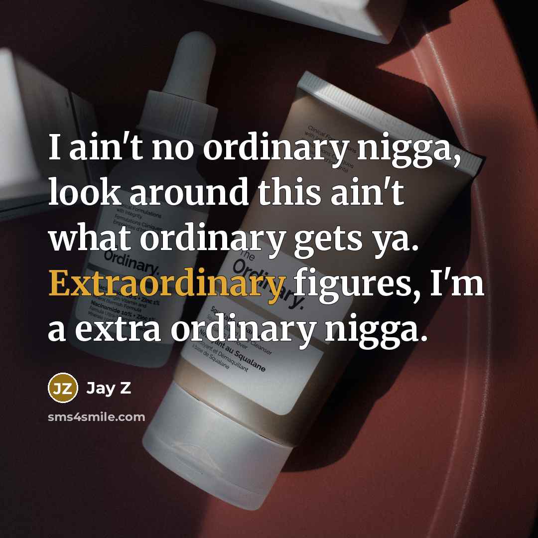 “I ain't no ordinary nigga, look around this ain't what…” quote by Jay Z