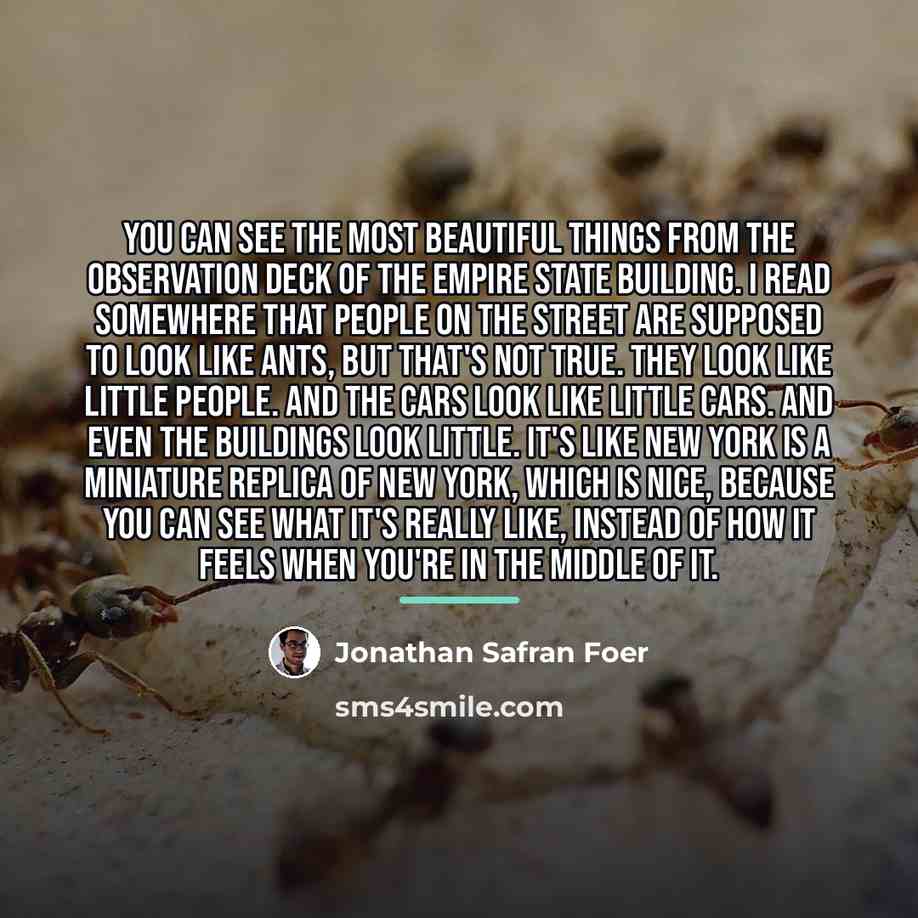 “You can see the most beautiful things from the observation…” quote by Jonathan Safran Foer